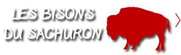 Bisons de Sachuron